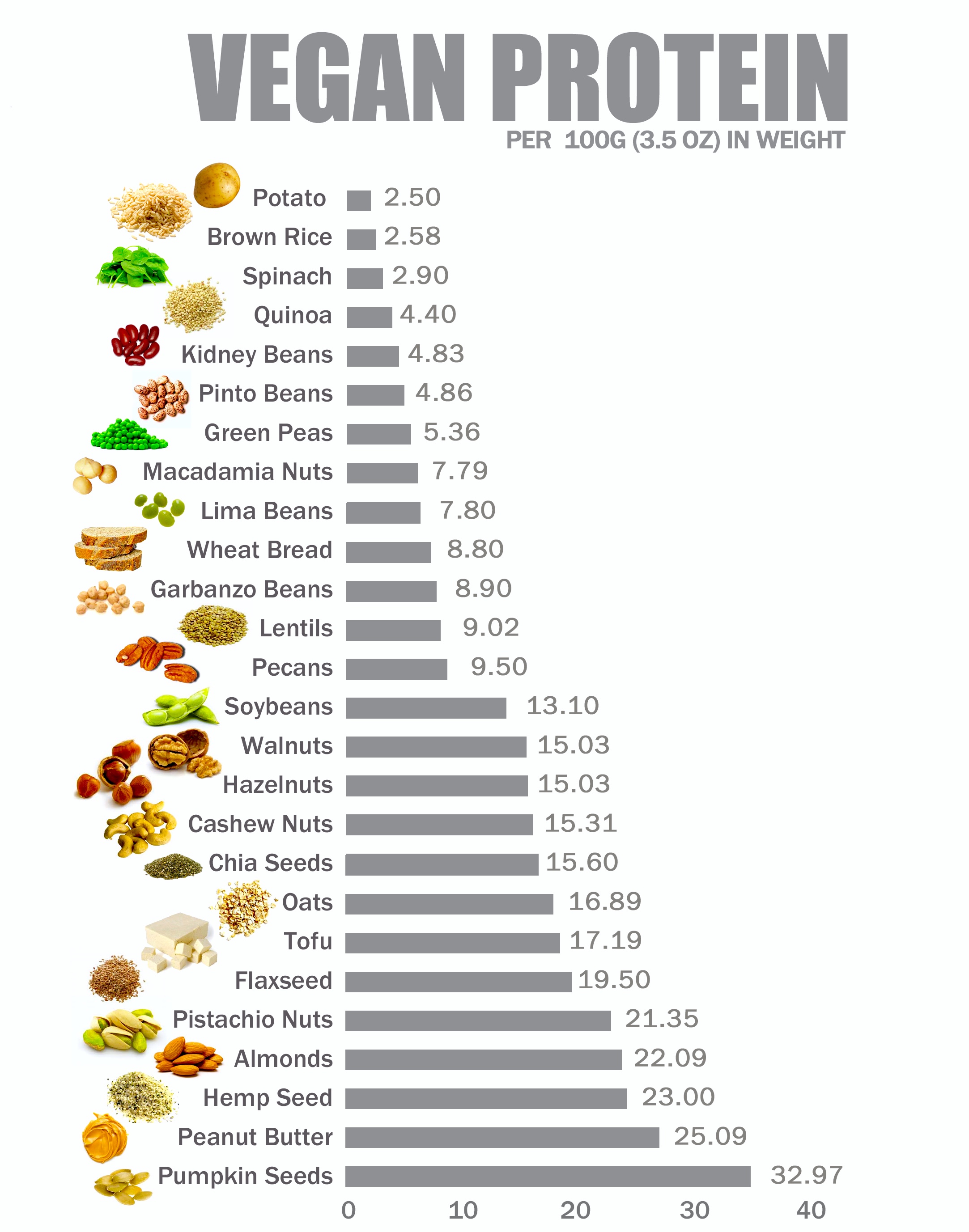 Vegan Protein 